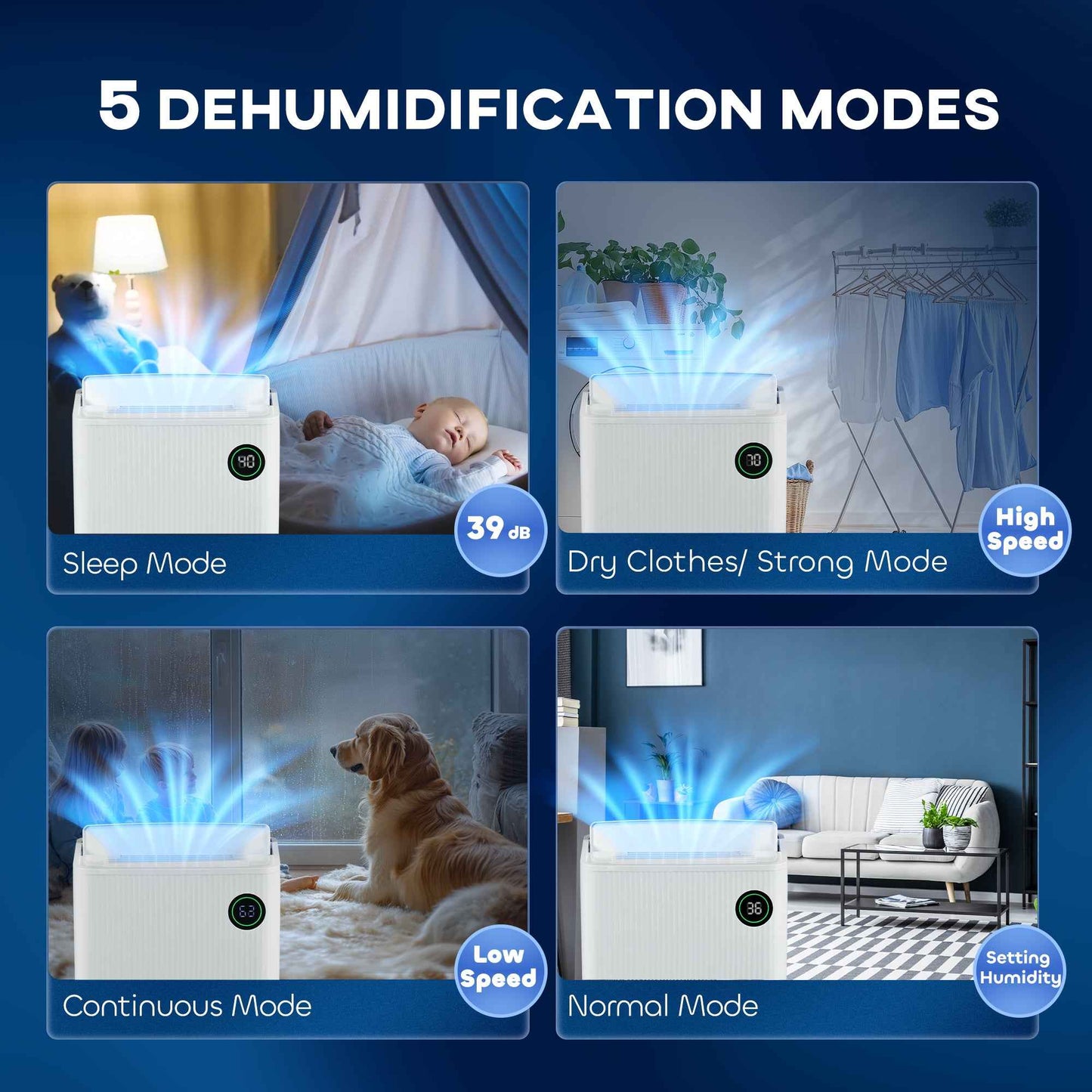 Transform Your Space with the Portable Dehumidifier with Air Purifier